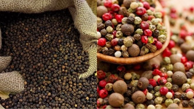 Giá tiêu hôm nay 21/3/2025: Nội địa tiếp đà tăng, thế giới ‘sôi động’ trở lại