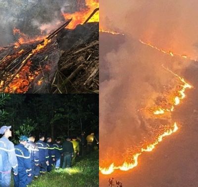 Hơn 1.000 người vẫn đang ngày đêm dập cháy ở Tuyên Quang, nguyên nhân ban đầu đã được hé lộ