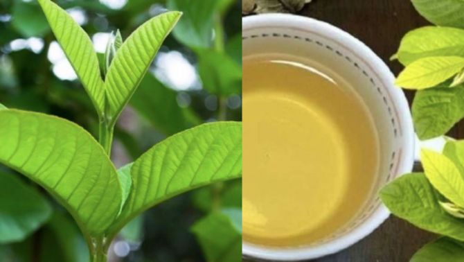 Học mẹo trên mạng, một bệnh nhân ‘suýt chết’ vì bị suy thận, xu hướng chữa bệnh 'online' đang lên ngôi?