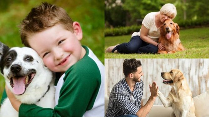 Động vật có thể hiểu ngôn ngữ con người không? Sự thật bất ngờ đằng sau khả năng giao tiếp bí ẩn