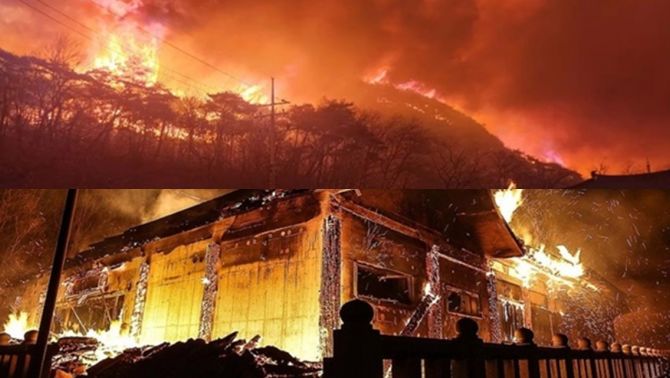 Vẫn chưa thể khống chế cháy rừng dữ dội ở Hàn Quốc, ít nhất 18 người đã tử vong