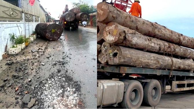 Cả tấn gỗ bất ngờ rơi ra từ xe tải, người phụ nữ thoát chết nhờ bỏ xe, đu cổng nhà dân