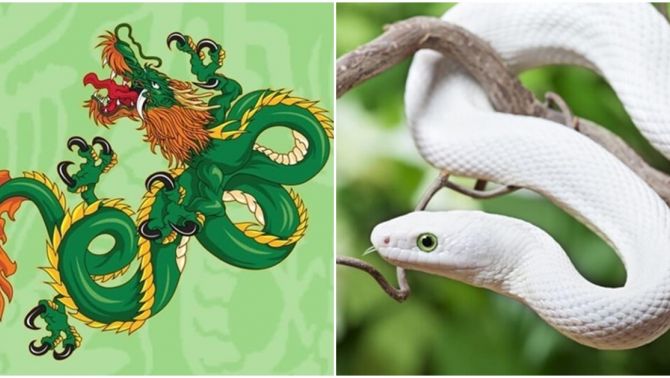 Sau Tết Thanh Minh, vận may sẽ đến với 4 con giáp, hạnh phúc tràn ngập khiến cuộc sống ‘nở hoa’