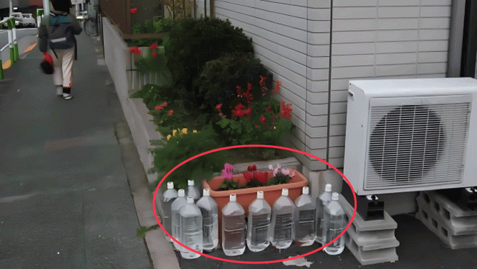 Lý giải nguyên nhân thực sự khiến người Nhật đặt nhiều chai nước quanh nhà