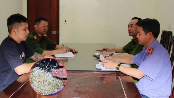 3500 tấn giá đỗ ngâm hóa chất được tiêu thụ ở nhiều nơi quen thuộc, người tiêu dùng mua với giá ‘cực rẻ’