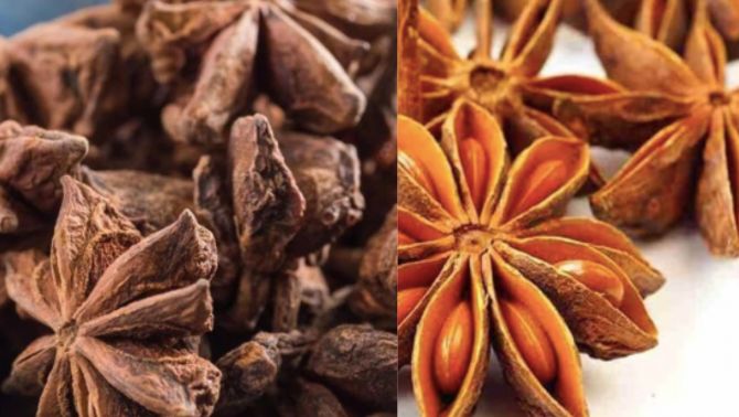 Bất ngờ loại gia vị quen thuộc trong mâm cơm người Việt đang dần khẳng định vị thế ‘vàng xanh’