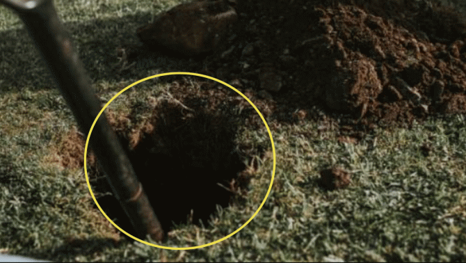 Trúng vé số giải độc đắc 26 tỷ đồng, người đàn ông quyết định đào hố và chôn xuống