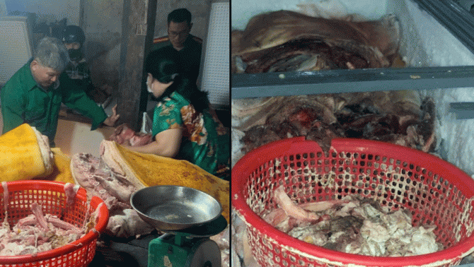 Bình Phước: Tiêu hủy gần 800kg thịt heo ôi thiu, nhiễm dịch tả lợn châu Phi không rõ nguồn gốc