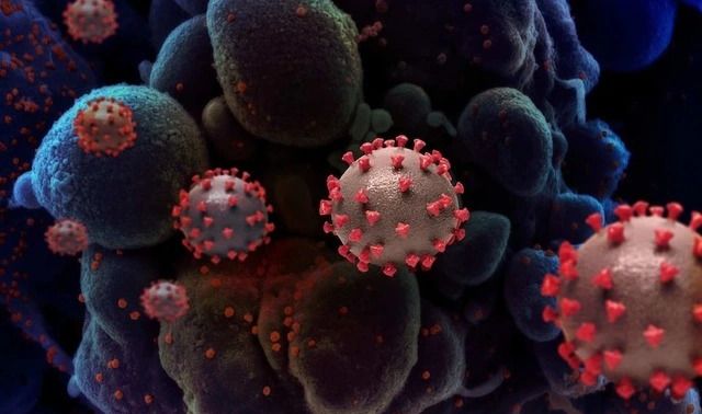 Dịch Covid-19 tăng trở lại nhiều nước châu Á: Thái Lan, Hong Kong…có hàng chục ca tử vong, hàng chục nghìn ca mắc