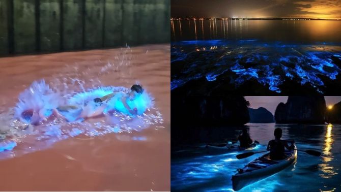 Sốc: Nước biển Hạ Long đột ngột chuyển màu đỏ au, phát ánh sáng xanh kỳ lạ trong đêm, lý do là gì?