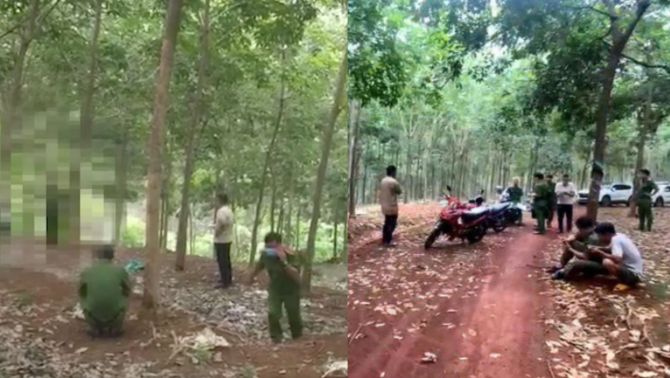Đi tìm nấm, kinh hãi phát hiện thi thể treo lơ lửng trên cây cao su, hé lộ ảnh hiện trường gây 'ám ảnh'