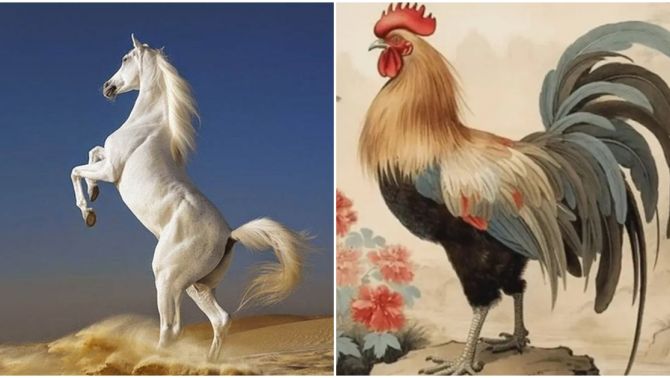 Ngày 23/5, 4 con giáp sẽ gặp được quý nhân phù trợ giúp sự nghiệp hanh thông, tiền bạc tràn về không đếm xuể