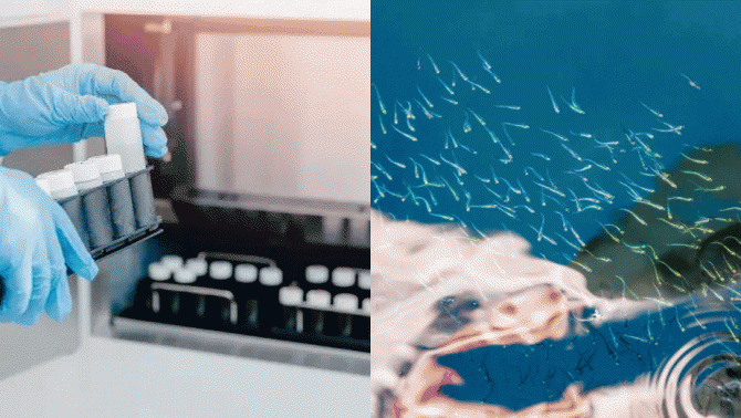 Người đàn ông mang gen đột biến gây ung thư hiến tinh trùng: Sinh ra ít nhất 67 đứa trẻ