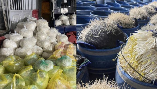 Rùng mình với cảnh bên trong nơi sản xuất hàng trăm tấn giá đỗ bằng chất cấm có thể gây chết người