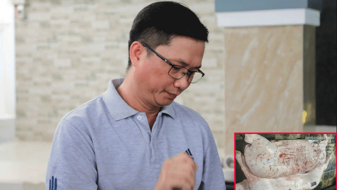 Đại diện C.P Việt Nam thừa nhận hình ảnh ‘tố’ heo bệnh là thật, chủ lò mổ chia sẻ thông tin nóng