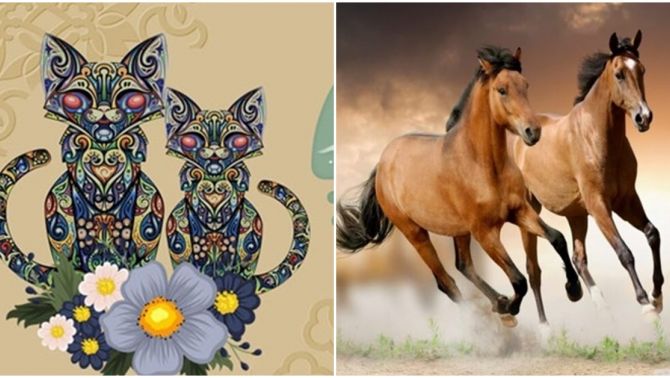 Từ ngày 5/6, 4 con giáp sau đây sẽ gặp may mắn trong tình yêu, tạm biệt cô đơn và tìm được tình yêu đích thực