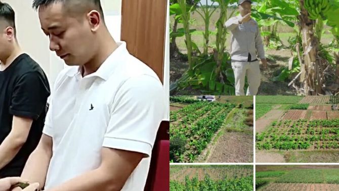 Trang trại tiền tỷ của Quang Linh lâm vào cảnh 'khốn cùng': Tiết lộ quá khứ từng vấp sai lầm