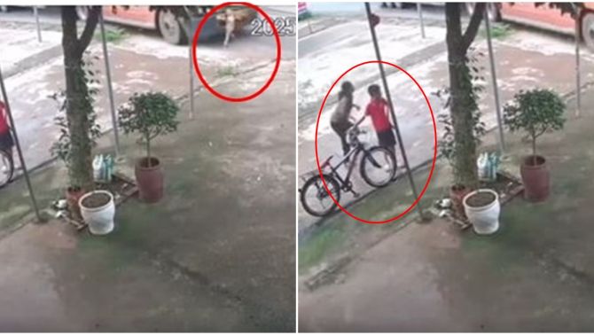 Ám ảnh cảnh bé gái băng qua đường bị xe tải tông trực diện tử vong, người thân gào khóc trong đau đớn