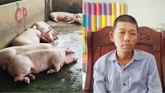 Ông Liễu Quý Ngân tuyên bố đúng 1 câu sau thông báo không khởi tố vụ án tố bán heo bệnh ở C.P