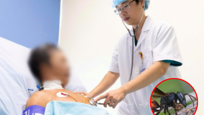 Đà Nẵng: Cụ ông bị ong vò vẽ đốt hơn 30 vết, suýt mất mạng vì sốc phản vệ độ 3