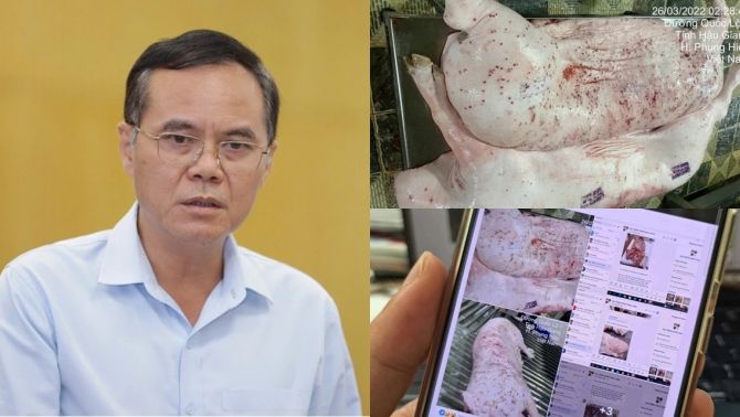 Lộ diện người đóng dấu kiểm dịch sai với heo bệnh Công ty C.P, bất ngờ lời khai và hình thức xử lý