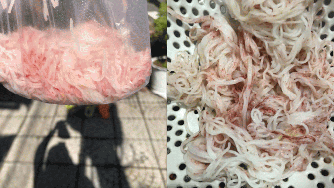 Người phụ nữ hoảng sợ khi phát hiện sợi bún để dành cho cho con trai ăn đổi màu từ trắng sang đỏ