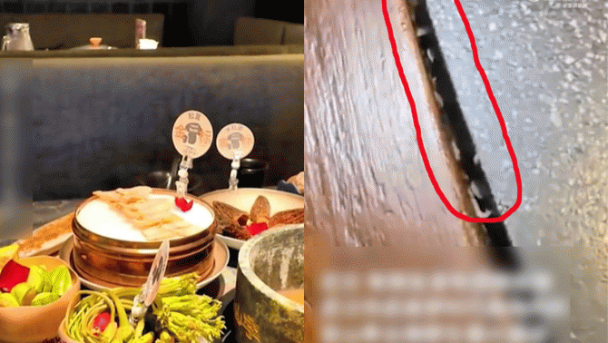 Nguyên nhân loạt giòi bò trong khe bàn nhà hàng lẩu và kết quả kiểm tra an toàn vệ sinh thực phẩm