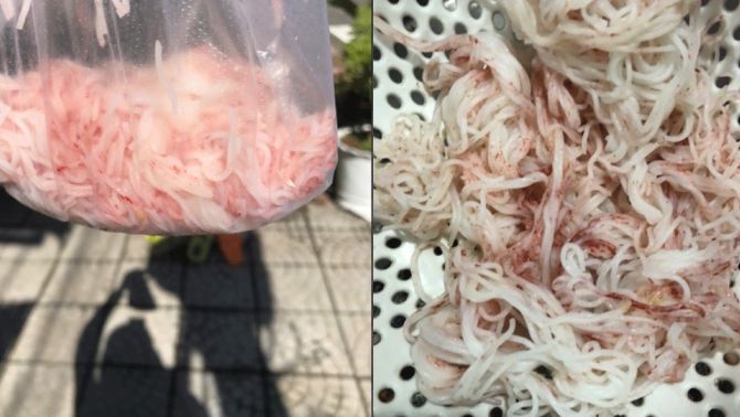 Lãnh đạo TP Đà Nẵng thông tin nóng loạt bún đổi màu từ trắng sang đỏ, tạm dừng 1 cơ sản xuất bún