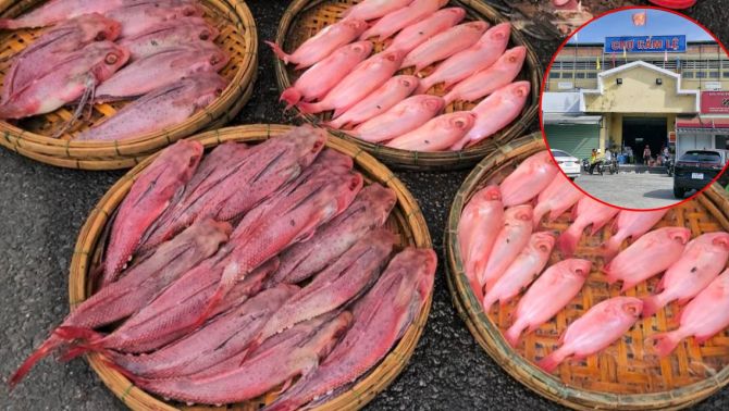 Vụ cá có màu đỏ như phẩm nhuộm tại chợ Cẩm Lệ: Ban quản lý nói rõ sự thật