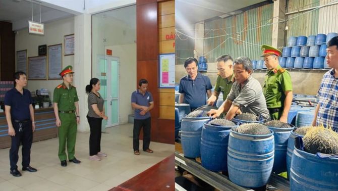 Pha hóa chất độc hại sản xuất hàng trăm tấn giá đỗ, lợi nhuận lớn khiến nhiều người bất chấp