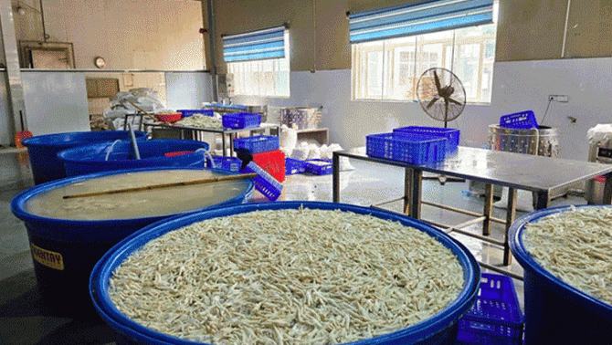 Phát hiện 13 tấn chân gà nghi không rõ nguồn gốc, 7 tấn đã ngâm chất tẩy trắng để đưa ra thị trường