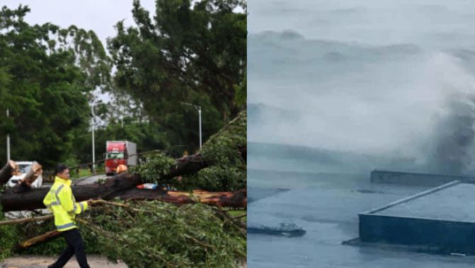 Vì sao bão số 3 lại mang tên Wipha? Giải mã ý nghĩa và điều bất ngờ đằng sau cái tên