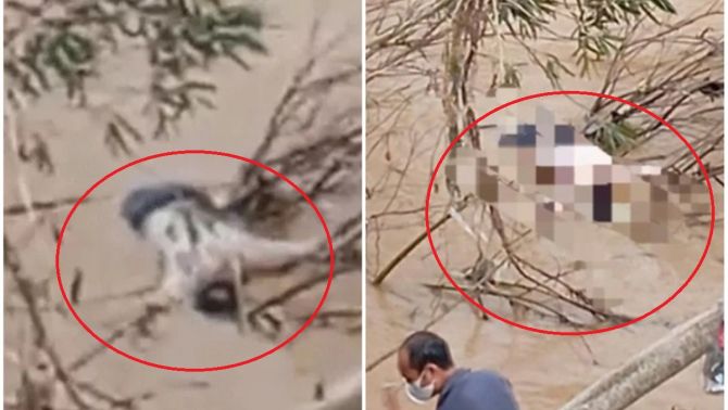 Hiện trường ám ảnh nơi phát hiện thi thể nam thanh niên trôi sông sau đợt mưa lũ lớn ở Nghệ An