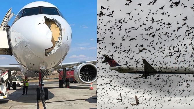 Chim trời ‘đâm’ Iberia giữa lúc cất cánh, mũi máy bay vỡ toang: Cơ trưởng buộc phải làm một việc khẩn cấp