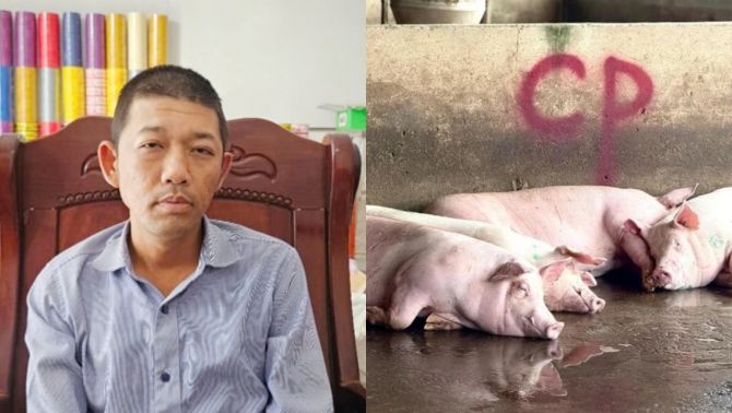 Diễn biến mới vụ C.P. bị tố bán thịt heo bệnh: Người tố cáo nhận giấy triệu tập nhưng tiết lộ lý do từ chối đến
