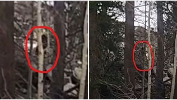 Video gây sốc ghi lại cảnh quái vật ‘Bigfoot’ chạy trong rừng giữa ban ngày khiến người đàn ông hoảng hốt