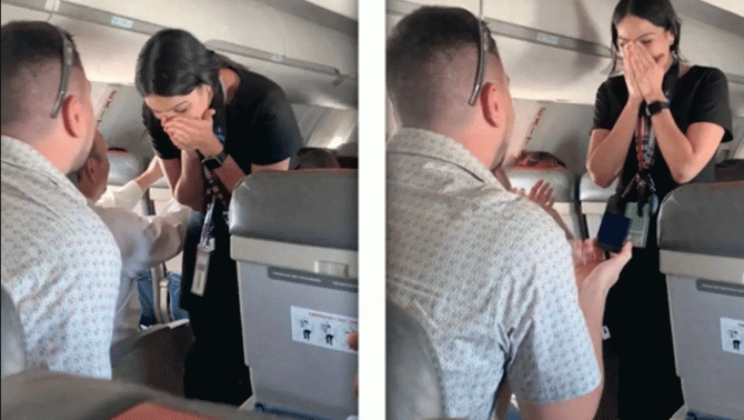 Sau ít phút được cầu hôn, máy bay chở cô gái và chồng lao xuống rừng, hé lộ nguyên nhân đằng sau?