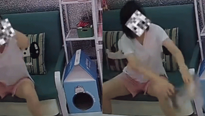 Tòa án đưa ra phán quyết cuối cùng vụ người phụ vạch trần kẻ ngược đãi mèo rồi bị kiện ngược