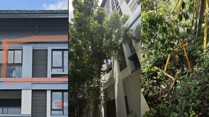 Vụ bé trai 7 tuổi rơi từ tầng 14 tử vong khi đi học thêm: Quặn lòng lời chia sẻ của người mẹ 49 tuổi