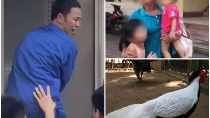 Diễn biến mới nhất vụ lĩnh 6 năm tù vì buôn gà lôi trắng: Gia đình làm đơn xin giảm nhẹ hình phạt 