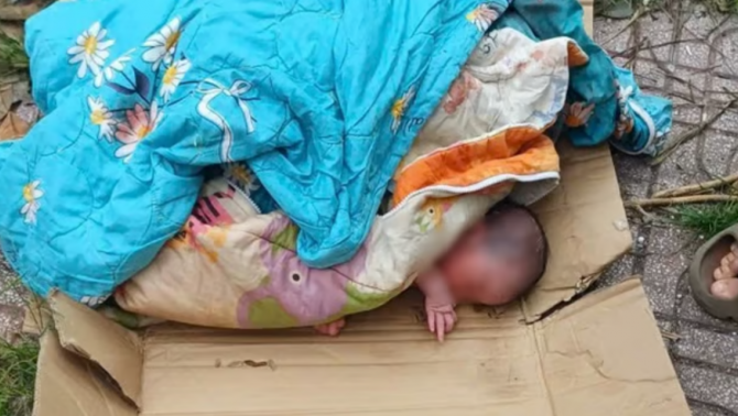 Phát hiện bé gái sơ sinh bị bỏ rơi trong thùng giấy ven đường và hành trình giành lại sự sống 
