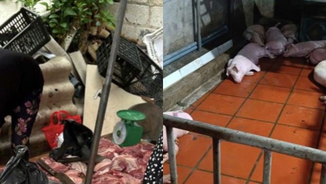 Hưng Yên: Dịch tả lợn châu Phi lan rộng, người dân thận trọng khi mua thịt