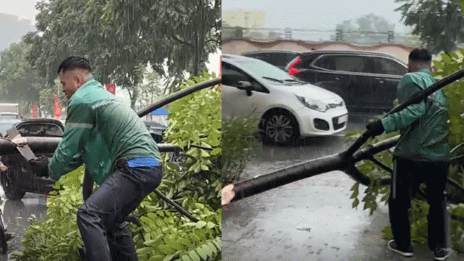 Dân mạng khen hết lời nam tài xế dầm mưa chặt cành cây đổ chắn ngang, giải phóng tắc đường cục bộ