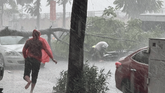 Nam thanh niên lao như bay ra cứu người phụ nữ đi xe máy bị cây đè trúng ở Hà Nội giữa trời mưa lớn