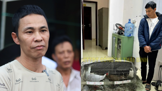 Thông tin sốc về người đặt mua gà của anh Thái Khắc Thành, nghi từng liên quan một vụ án tương tự?