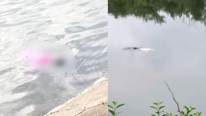 Hé lộ danh tính bé gái tử vong nổi trên hồ ở Bắc Ninh, gia đình kể lại giây phút cuối cùng