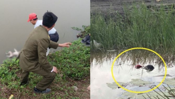 Đi cắt cỏ, người dân hoảng hốt khi thấy 2 thi thể phân hủy dưới mương nước ở Nghệ An