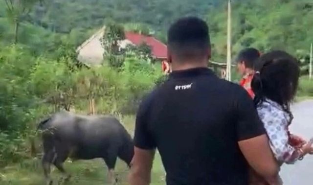 Trâu điên đoạt mạng bé gái 4 tuổi ở Nghệ An, xót xa trước hoàn cảnh gia đình thương tâm