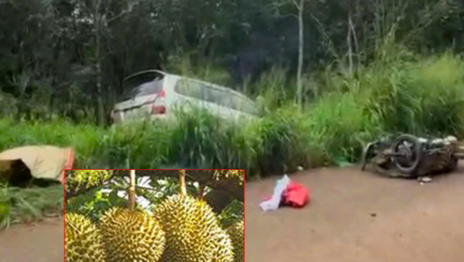 Làm rõ vụ người phụ nữ tử vong thương tâm trên đường đi hái sầu riêng do va chạm với ô tô