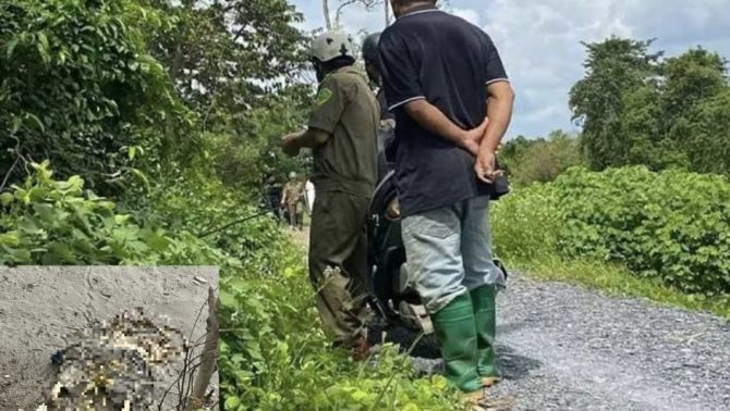 Người dân hoảng sợ khi thấy cận cảnh thi thể đã phân hủy ở TP.HCM: Có 1 chi tiết gây khó cho việc điều tra